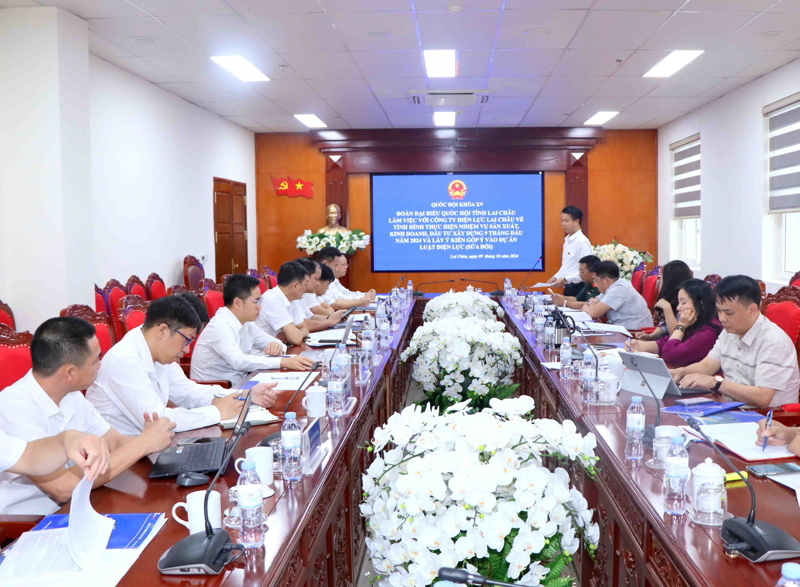 Đoàn Đại biểu Quốc hội tỉnh làm việc với Công ty Điện lực Lai Châu