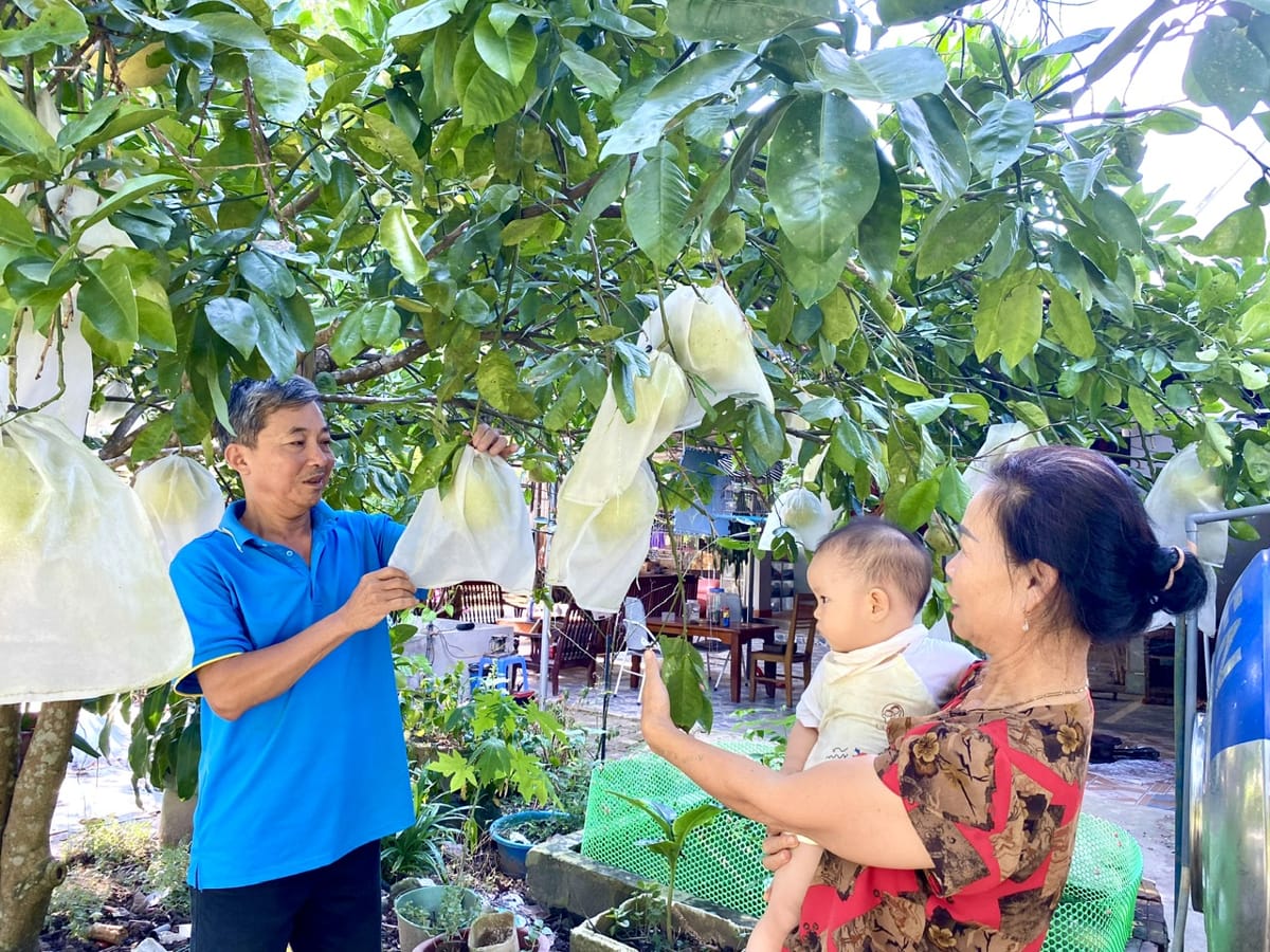 Đảng viên mẫu mực