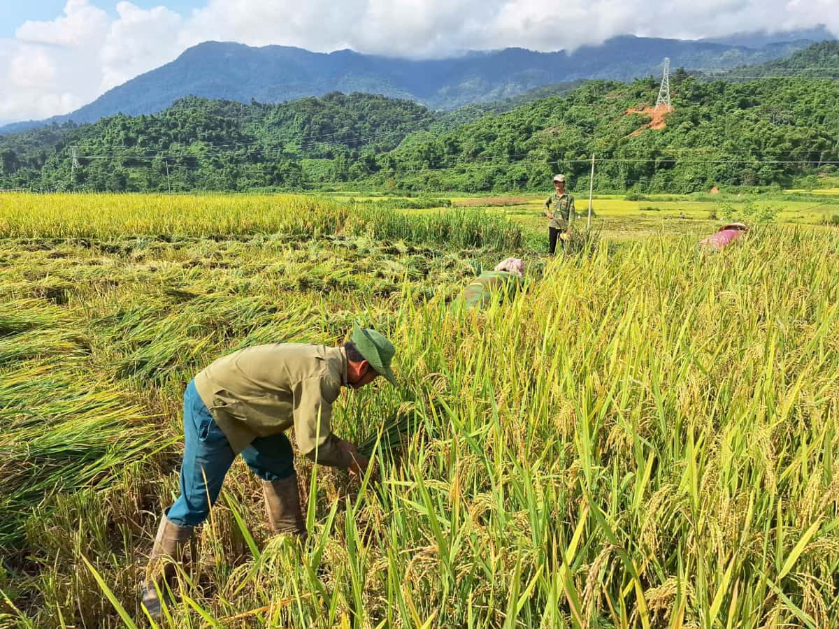 Lãnh đạo nhân dân phát triển kinh tế