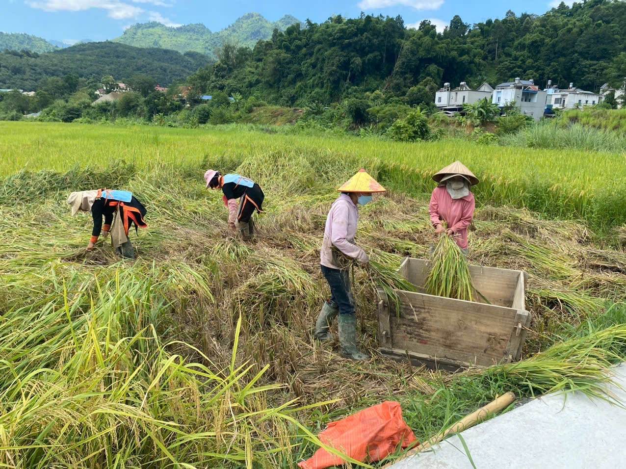 Thể lệ Cuộc thi ảnh “Nông dân Lai Châu khát vọng vươn lên”