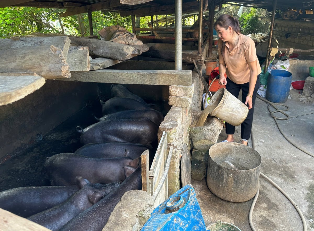 Đảng viên Lù Thị Sợi nêu gương sáng