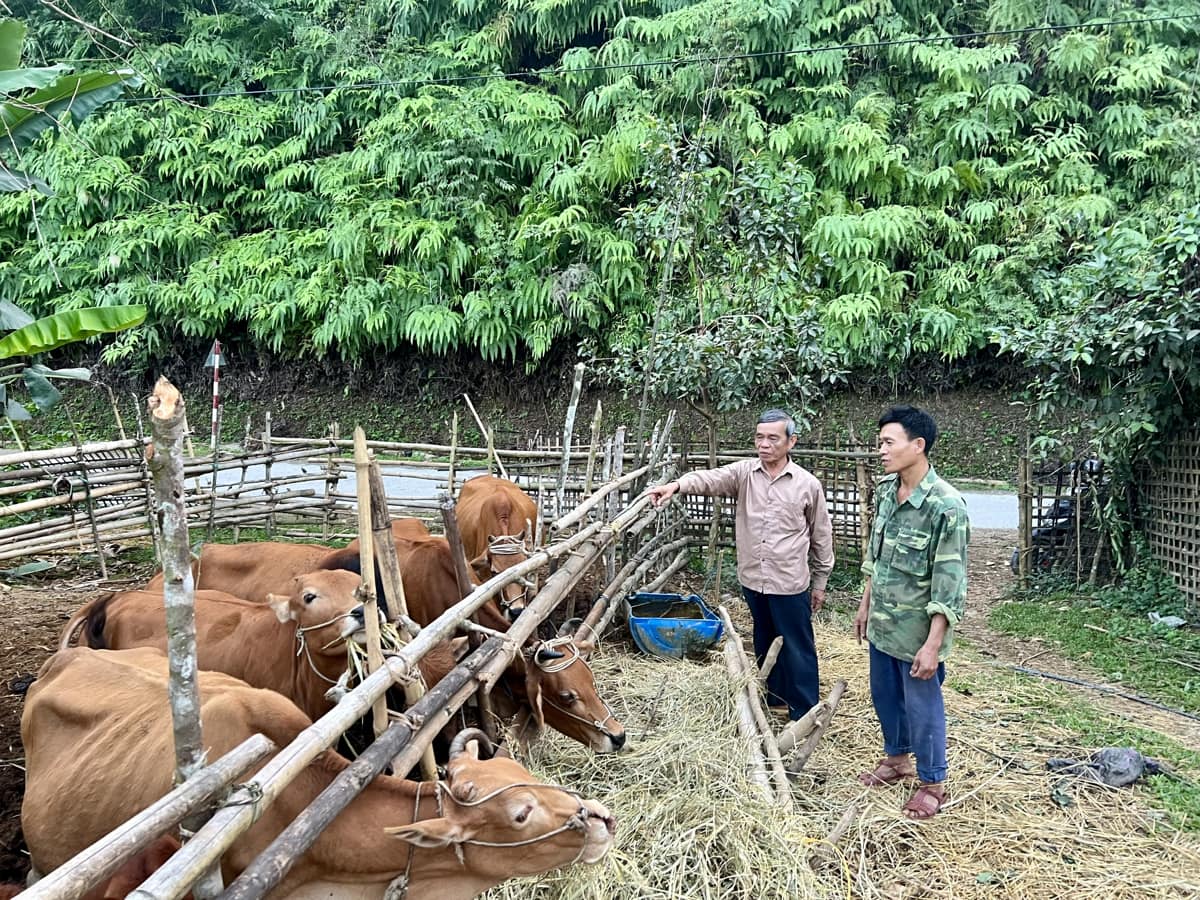 Nhiều giải pháp nâng cao thu nhập cho người dân