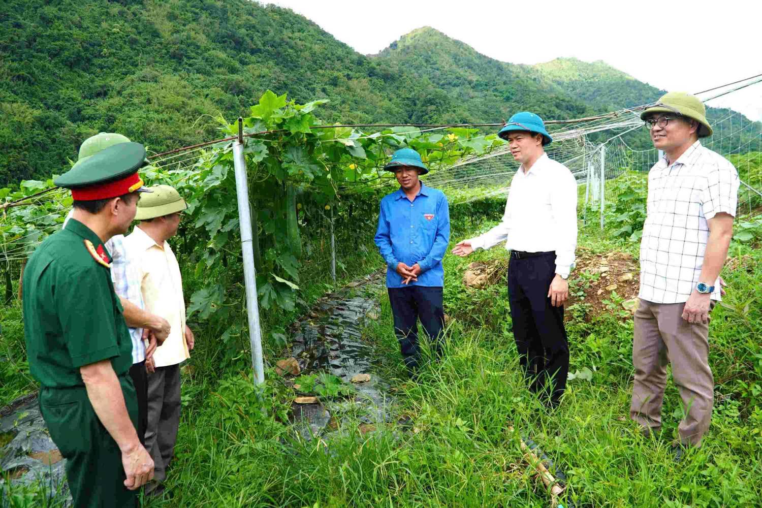 50 năm xây dựng và phát triển