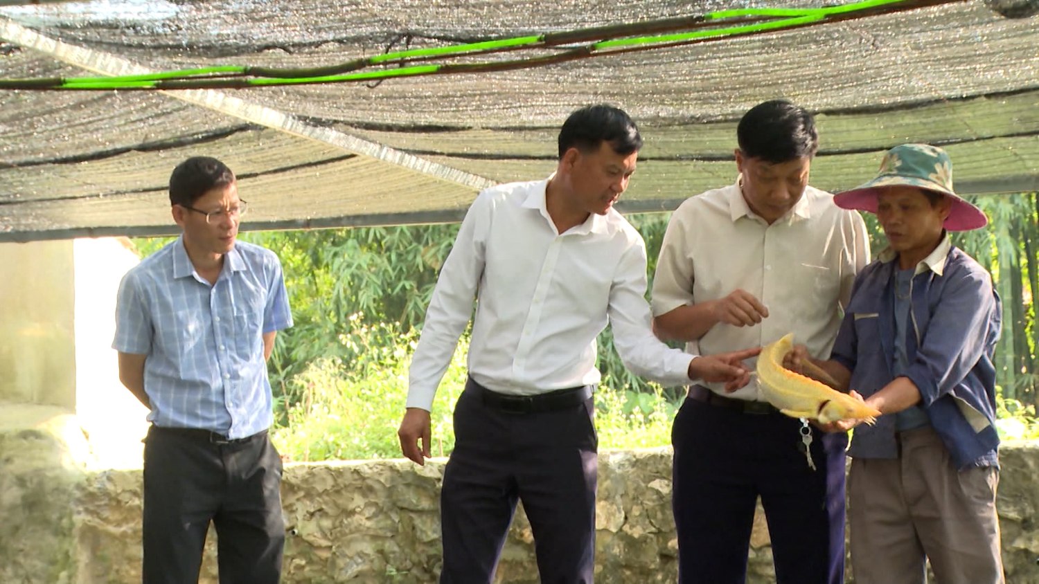 Lai Châu: Phát huy tiềm năng nuôi cá nước lạnh