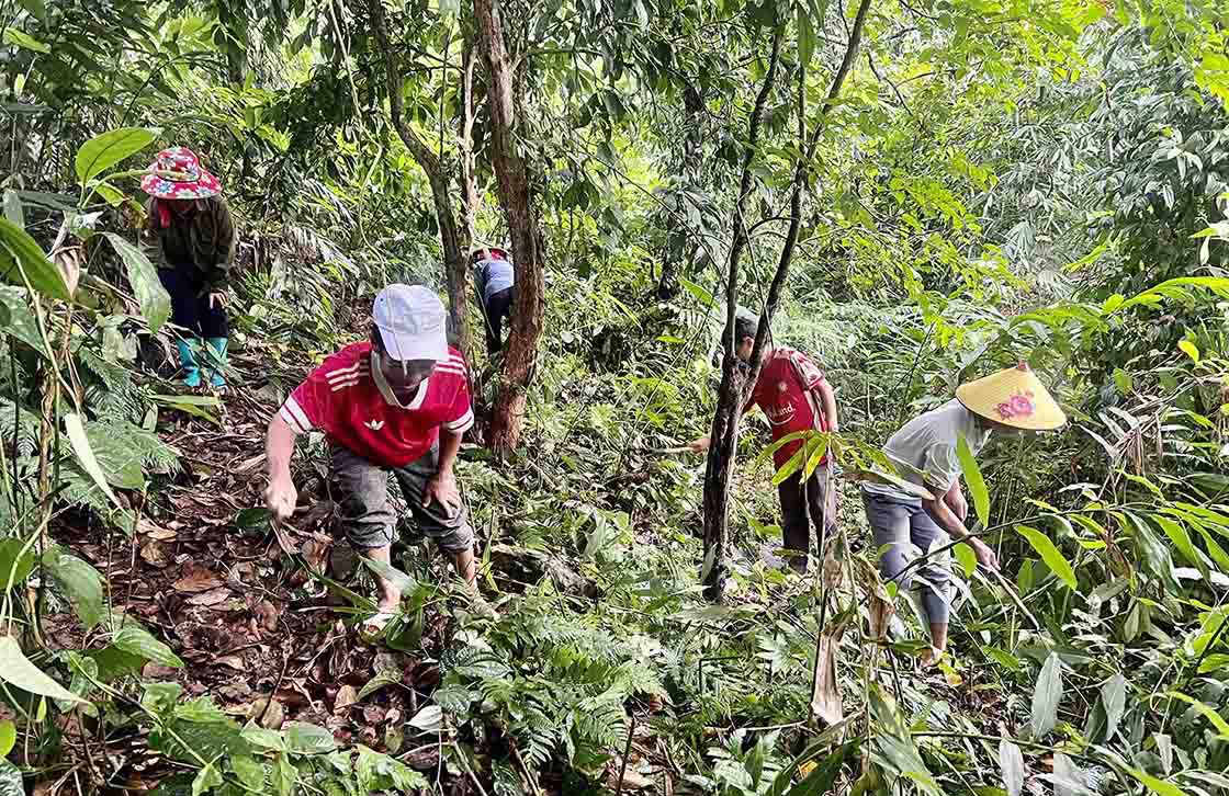 Mù Cả phát triển kinh tế