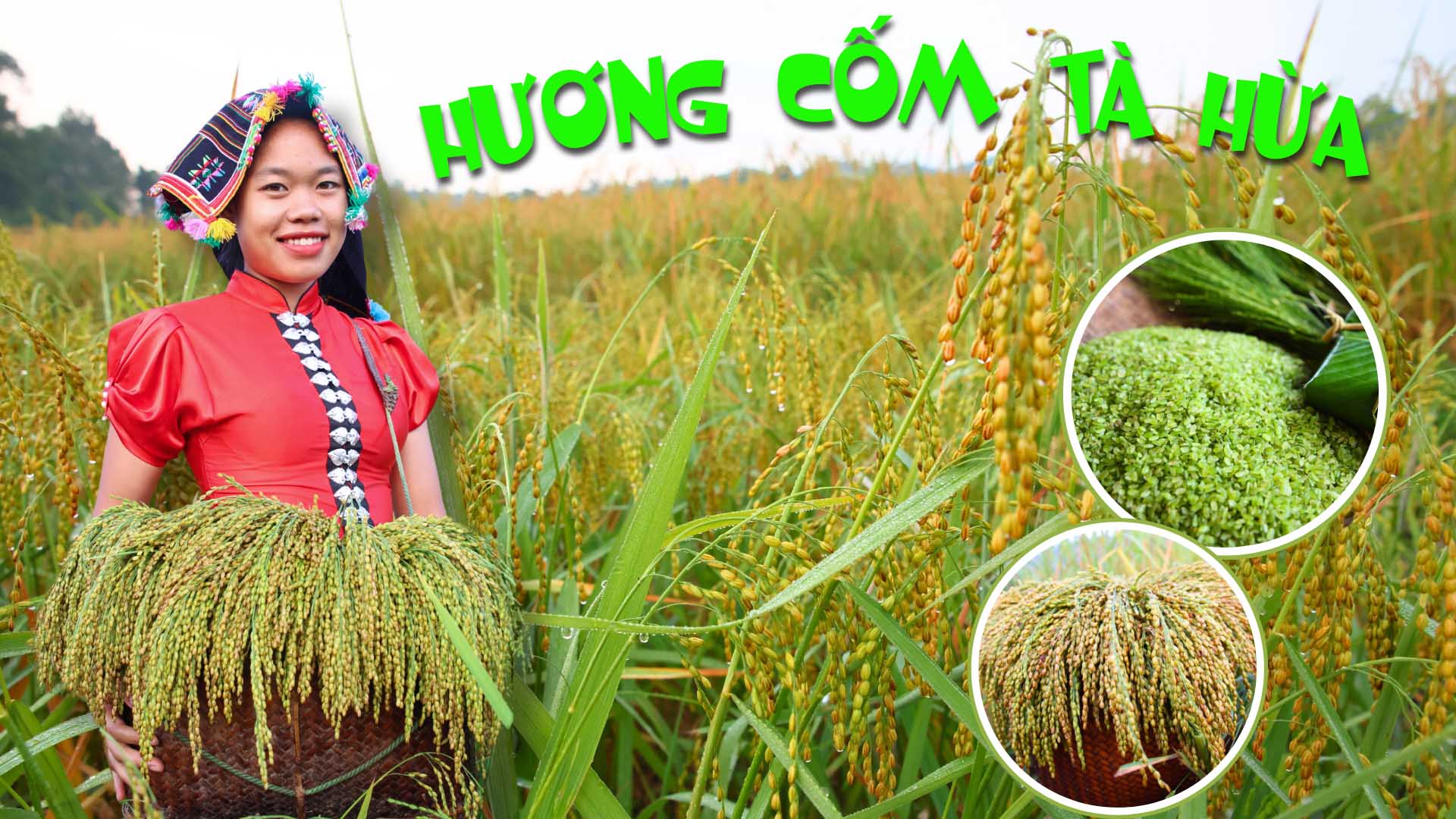 Hương cốm Tà Hừa